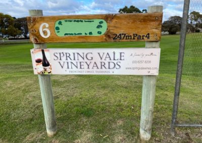 Spring Vale Vineyard